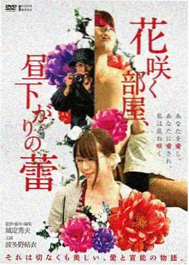 逆光航线动作电影高清观看